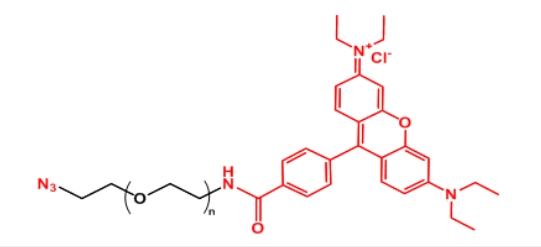 罗丹明PEG叠氮 叠氮PEG罗丹明 叠氮聚乙二醇罗丹明