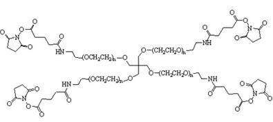 4臂星形-聚乙二醇-戊酰胺琥珀酰亚胺酯 4-Arm PEG-GAS