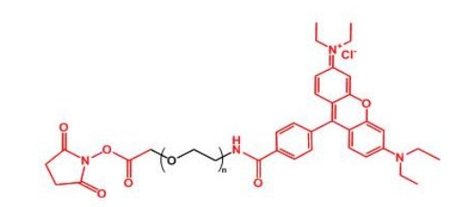 罗丹明聚乙二醇活性酯 RB-PEG-NHS