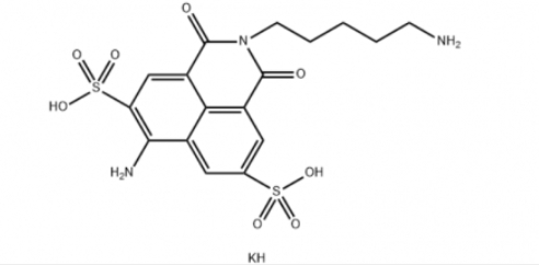 Lucifer Yellow Cadaverine，149733-79-9，萤光黄尸胺