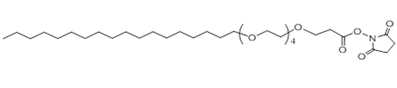 C18-PEG4-NHS 四乙二醇十八烷基醚-NHS
