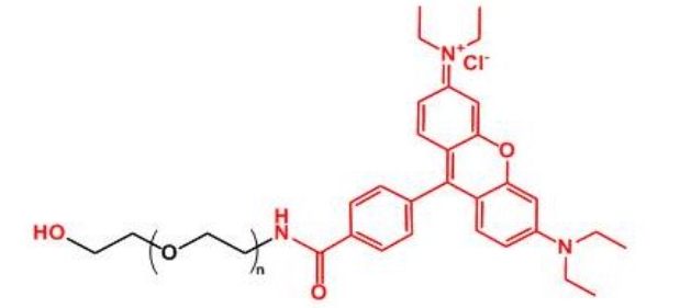 罗丹明聚乙二醇羟基 Rhodamine-PEG-OH