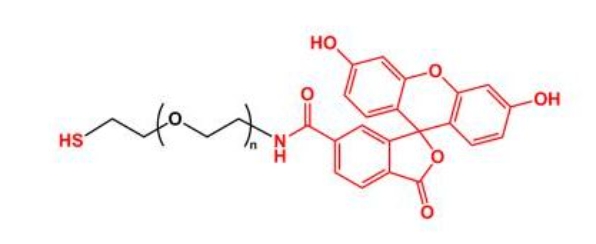 荧光素聚乙二醇巯基 FITC-PEG-SH