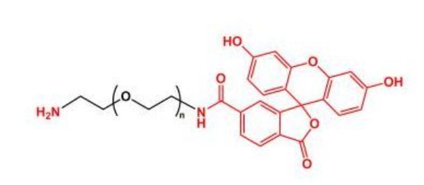 荧光素聚乙二醇氨基 FITC-PEG-NH2