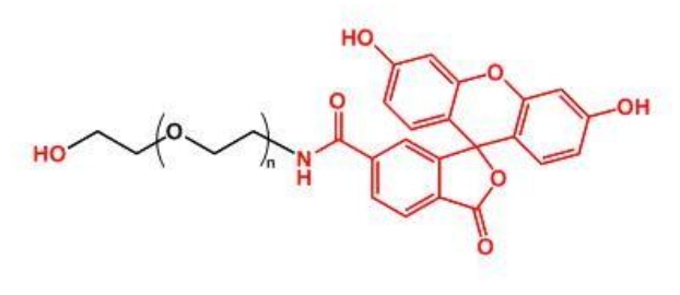 荧光素聚乙二醇羟基 FITC-PEG-OH