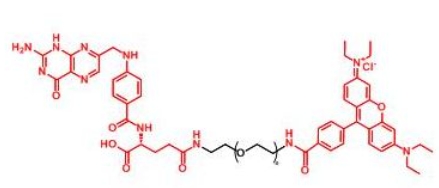 RB-PEG-FA RB-PEG-Folate 罗丹明聚乙二醇叶酸 