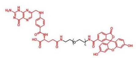  FITC-PEG-Folate Folate-PEG-FITC 荧光素聚乙二醇叶酸