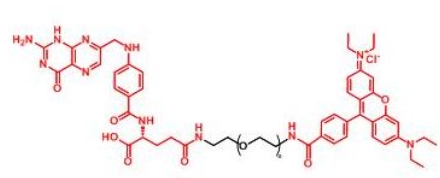  RB-PEG-Folate Folate-PEG-RB 罗丹明聚乙二醇叶酸 