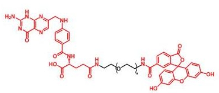 FITC-PEG-Folate Folate-PEG-FITC 荧光素聚乙二醇叶酸