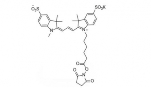 diSulfo-Cy3 NHS ester (Methyl)，磺酸基Cy3-活性酯(甲基)