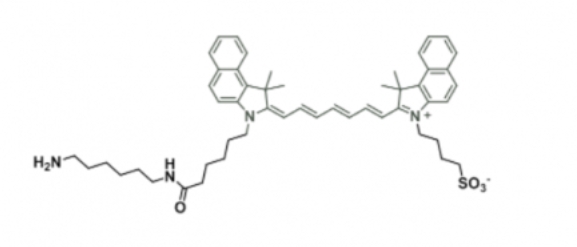 ICG amine/ICG-amine/吲哚菁绿-氨基