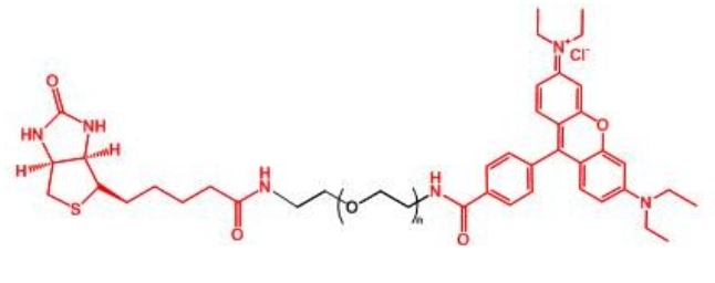 罗丹明聚乙二醇生物素 RB-PEG-BIOTIN