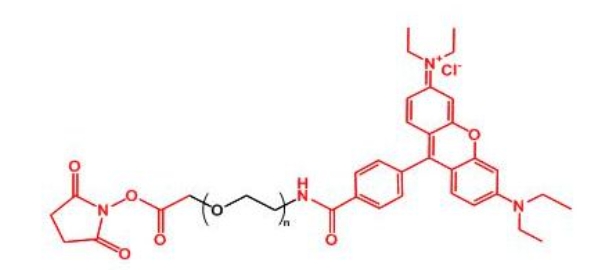 罗丹明聚乙二醇活性酯 RB-PEG-NHS