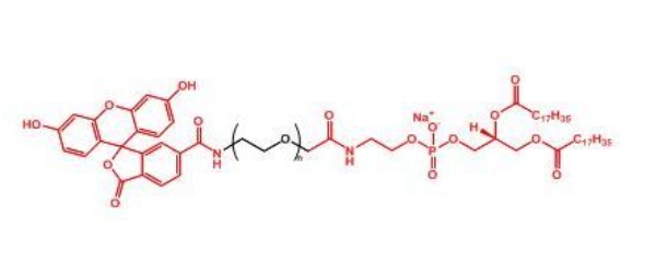 荧光素聚乙二醇磷脂 FITC-PEG-DSPE
