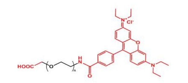 罗丹明聚乙二醇羧基 Rhodamine-PEG-COOH