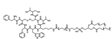 OTC-PEG-DSPE 奥曲肽-聚乙二醇-磷脂