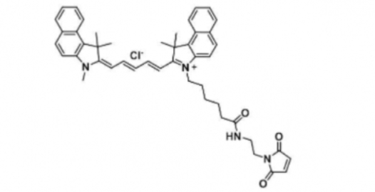 Cy5.5 maleimide，脂性Cy5.5 马来酰亚胺