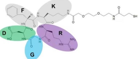  cRGD-PEG-SH  PEG衍生物