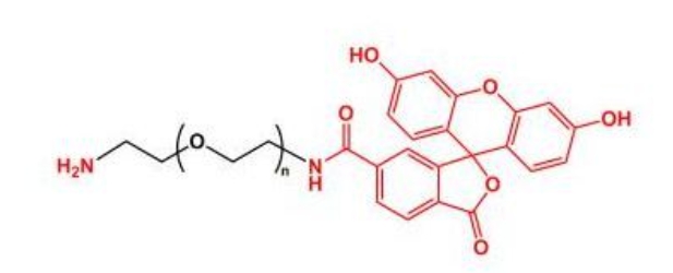 荧光素聚乙二醇氨基 FITC-PEG-NH2