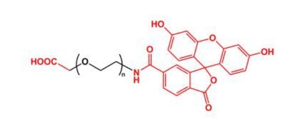 荧光素聚乙二醇羧基 FITC-PEG-COOH