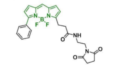 BDP R6G maleimide, 2183473-32-5，分子量 464.28