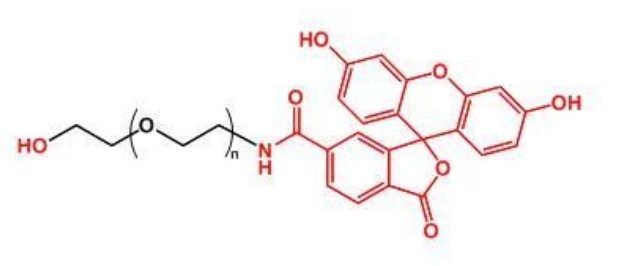 荧光素聚乙二醇羟基 FITC-PEG-OH
