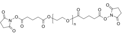 PEG-2SG 聚乙二醇-双(琥珀酰亚胺戊二酸酯) 