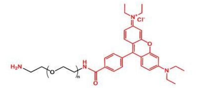 罗丹明聚乙二醇氨基 Rhodamine-PEG-NH2