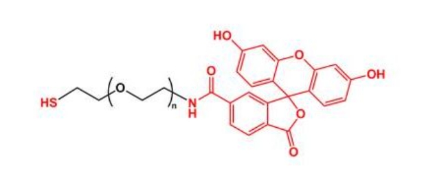 荧光素聚乙二醇巯基 FITC-PEG-SH