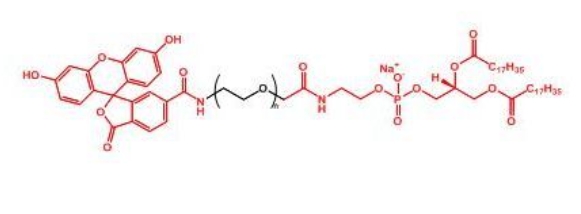 荧光素聚乙二醇磷脂 FITC-PEG-DSPE