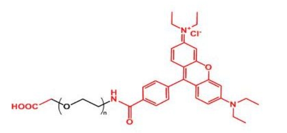 罗丹明聚乙二醇羧基 Rhodamine-PEG-COOH