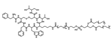 OTC-PEG-DSPE 奥曲肽-聚乙二醇-磷脂