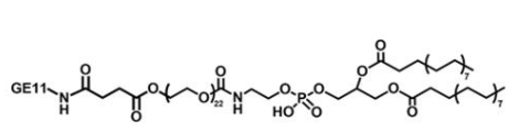 GE11-PEG-DSPE，肿瘤细胞表皮生长因子肽GE11-聚乙二醇-磷脂