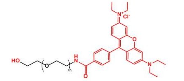 罗丹明聚乙二醇羟基 Rhodamine-PEG-OH