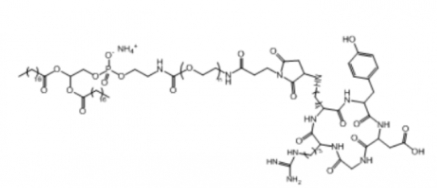 cRGD-PEG-DSPE  RGD多肽  PEG衍生物