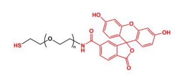 荧光素聚乙二醇巯基 FITC-PEG-SH