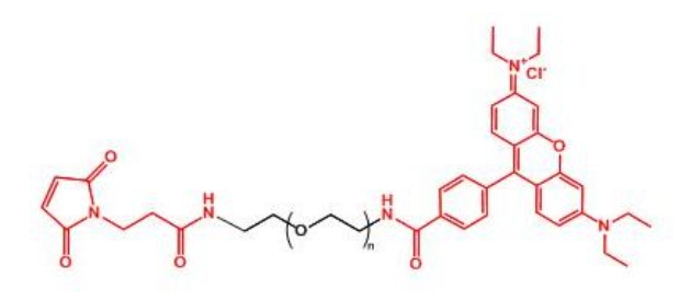 罗丹明聚乙二醇马来酰亚胺 Rhodamine-PEG-MAL