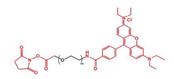 罗丹明聚乙二醇活性酯 RB-PEG-NHS