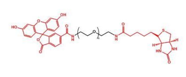 荧光素聚乙二醇生物素 FITC-PEG-Biotin