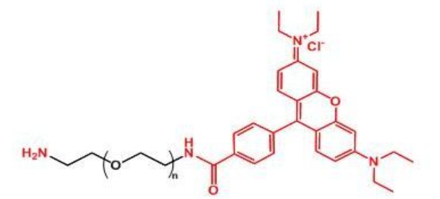 罗丹明聚乙二醇氨基 Rhodamine-PEG-NH2