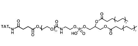 DSPE-PEG-TAT  磷脂-聚乙二醇-靶向穿膜肽