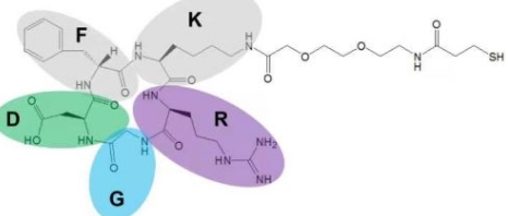 cRGD-PEG-SH  RGD多肽