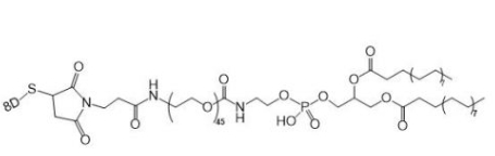 DSPE-PEG-Asp8; 磷脂聚乙二醇天冬氨酸八肽