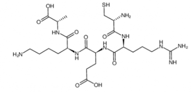 847058-45-1   Cys-Arg-Glu-Lys-Ala   半胱氨酸-精氨酸-谷氨酸-赖氨酸-丙氨酸