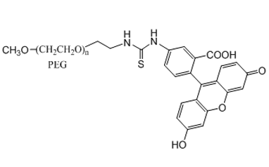 聚乙二醇-荧光素  mPEG-FITC