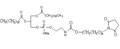 磷脂-聚乙二醇-N-羟基琥珀酰亚胺 自组装PEG脂质体 DSPE-PEG-NHS