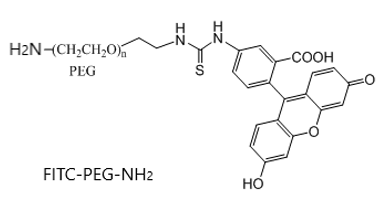 荧光素-聚乙二醇-氨基  FITC-PEG-NH2 