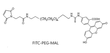 荧光素-聚乙二醇-马来酰亚胺  FITC-PEG-MAL