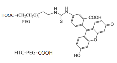 荧光素-聚乙二醇-羧基  FITC-PEG-COOH