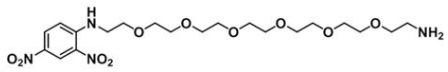 DNP-PEG6-NH2  分子式 C20H34N4O10